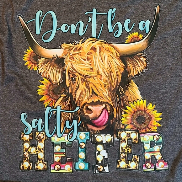 Dont Be A Salty Heifer Funny Highland Cow Graphic Charcoal Short Sleeve Tee - Picture 2 of 12